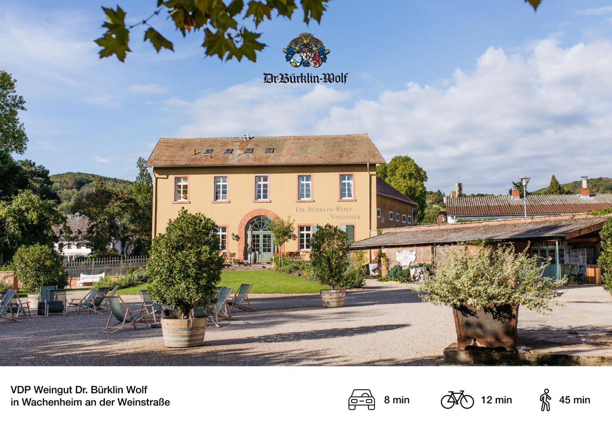 Privates Ferienhaus Mit Pool & Whirlpool Zentral In 巴特迪克海姆 外观 照片